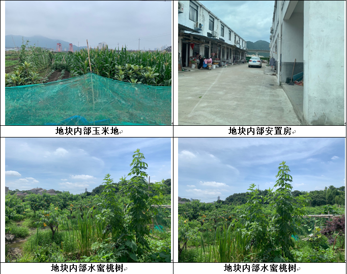 1600146753(1).png